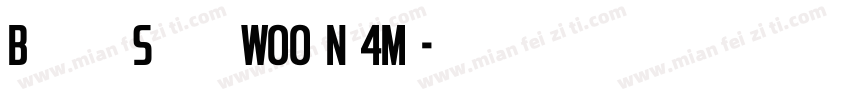 BrooklynSamuelsW00 No4Md字体转换